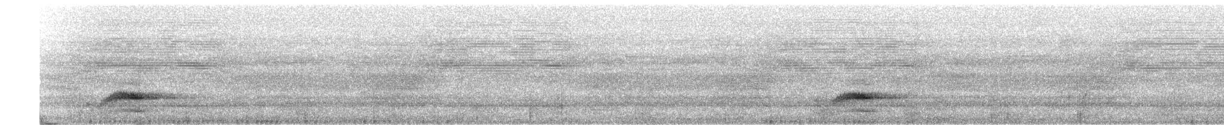 svartnakkepirol (frontalis gr.) - ML203909191