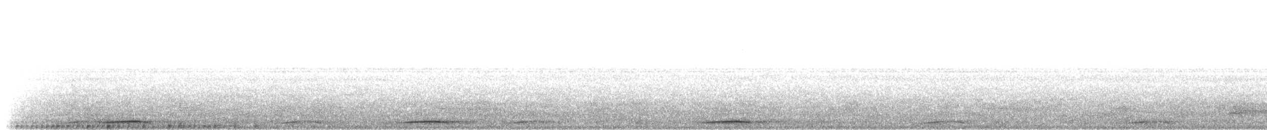 holub tenkozobý [skupina albicapilla] - ML203909351