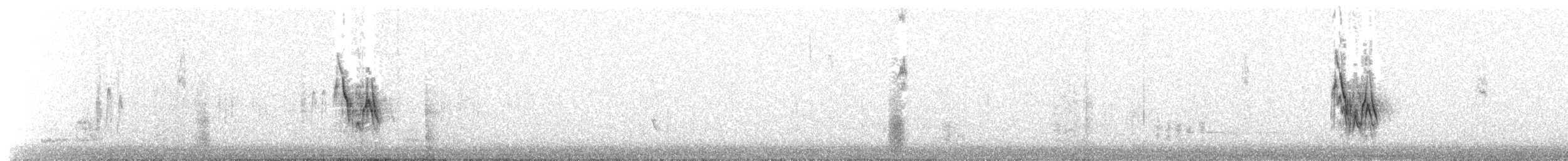 Bergeronnette grise (alba/dukhunensis) - ML203909601