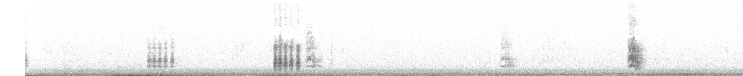 straka obecná (ssp. melanotos) - ML203909661