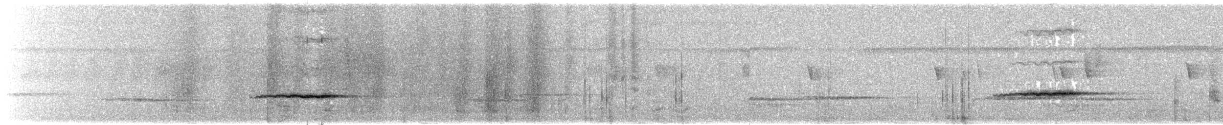 White-capped Monarch - ML203910071