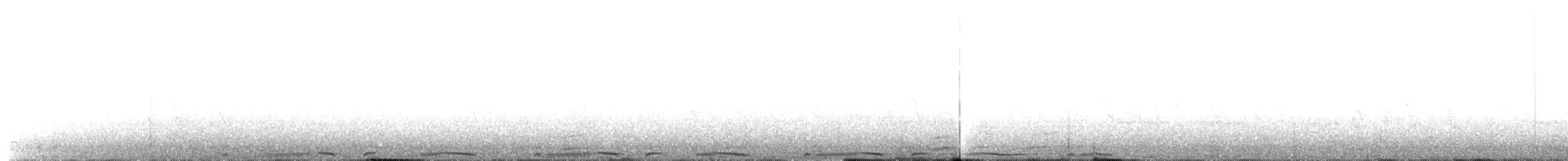 holub mnohobarvý - ML203910631