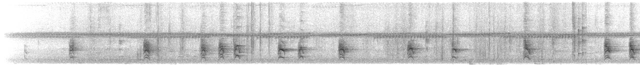Northern Wattled-Honeyeater - ML203910661