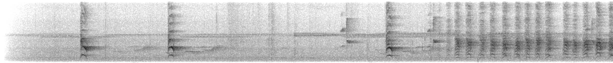 Northern Wattled-Honeyeater - ML203910671