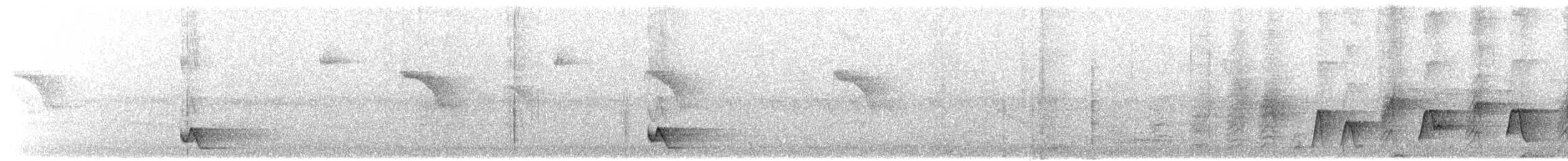 Mielero Carunculado de Taveuni - ML203910781
