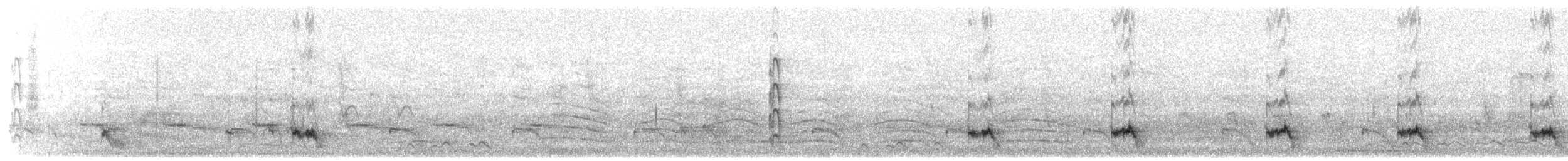 斑翅鳳頭鵑 - ML203911371