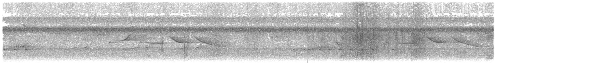Зозуля товстодзьоба (підвид validus/brazzae) - ML203911751
