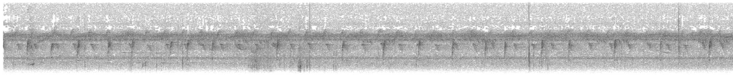 Western Bluebill (Western) - ML203912031