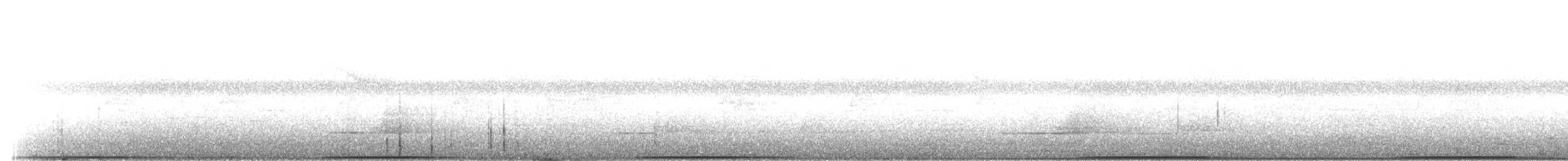 holub novokaledonský - ML203912261