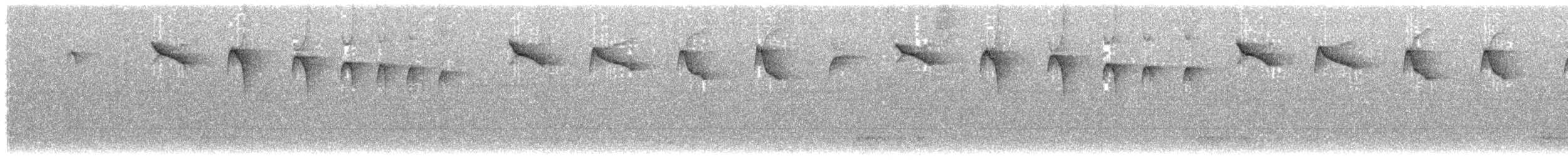 Коричневый колибри-отшельник - ML203912291