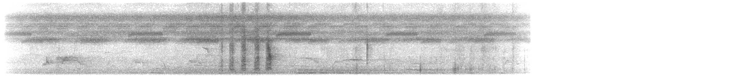 Méliphage foulehaio - ML203912981