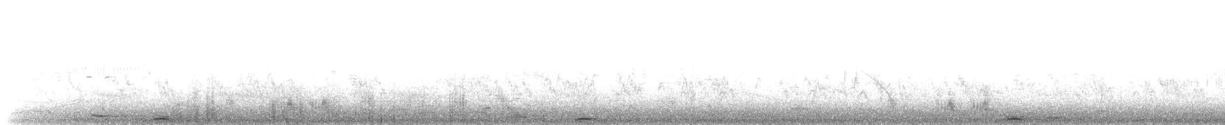 Бугайчик звичайний (підвид minutus) - ML203913601