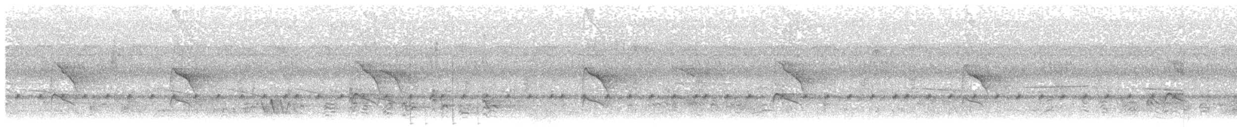 Büyük Dazlak Barbet (calvus/congicus) - ML203913991