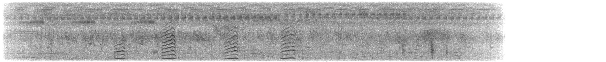 Uroilo urdin burugrisa - ML203914781