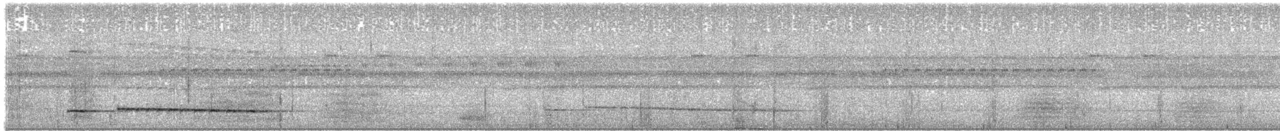 Graubrust-Ameisendrossel [analis-Gruppe] - ML203914841