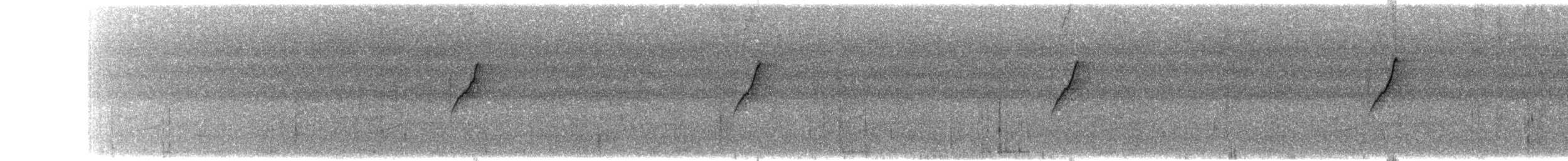 Siparaya Nektarkuşu [seheriae grubu] - ML203914861