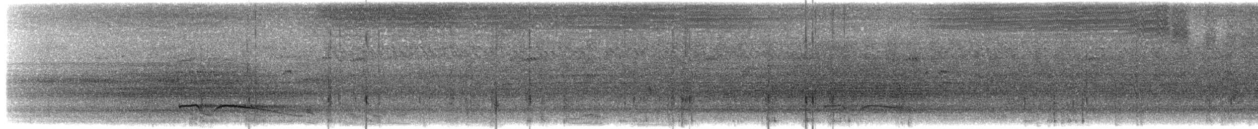 Great Eared-Nightjar - ML203914921