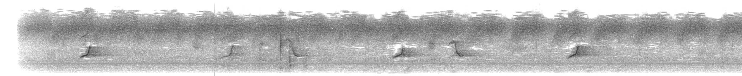 カンムリオウチュウ（hottentottus／brevirostris） - ML203915191