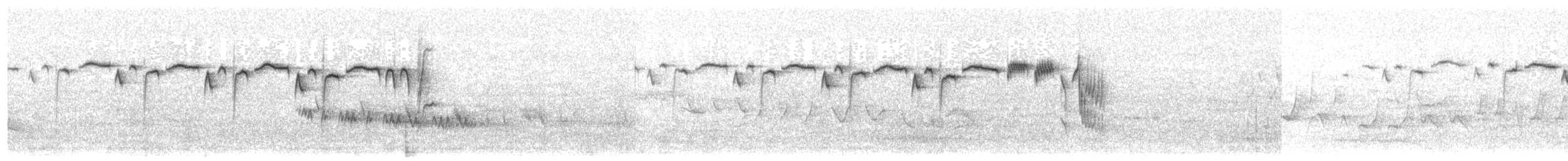 Wintergoldhähnchen [regulus-Gruppe] - ML203915871