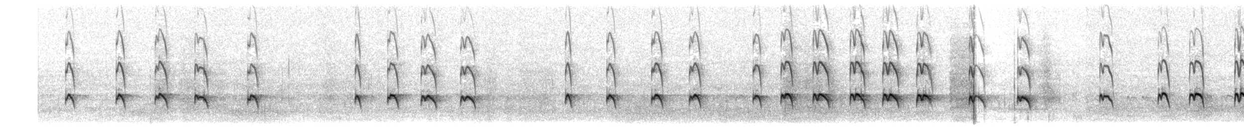 tjeld (ostralegus/longipes) - ML203916031