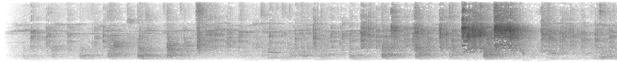 Salangane à nid blanc (germani/amechanus) - ML203916071