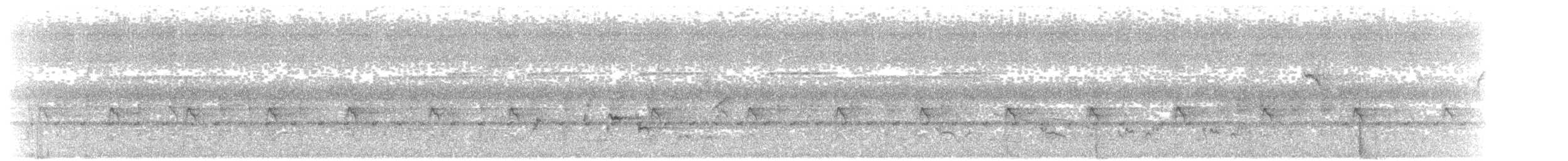 Prachtnektarvogel - ML203916601