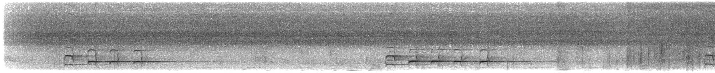 Grauspecht (Asiengrauspecht) - ML203916841