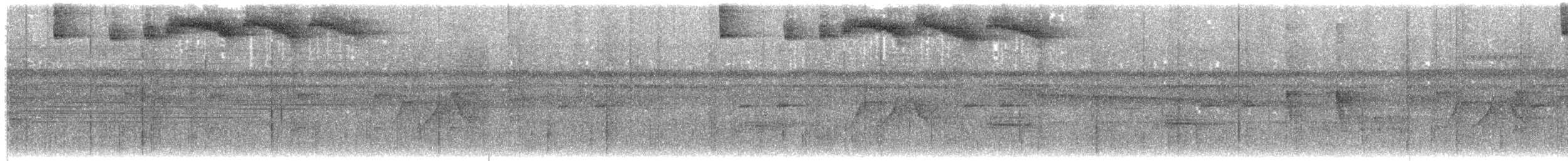 Pectoral Sparrow - ML203917121