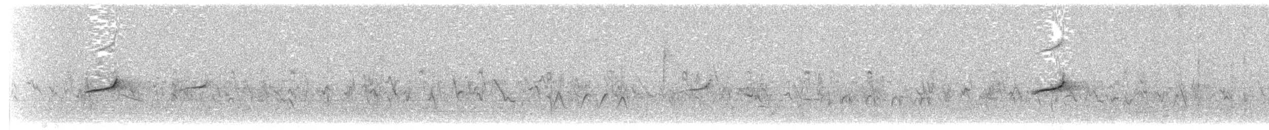 Oriole cul-noir - ML203917481