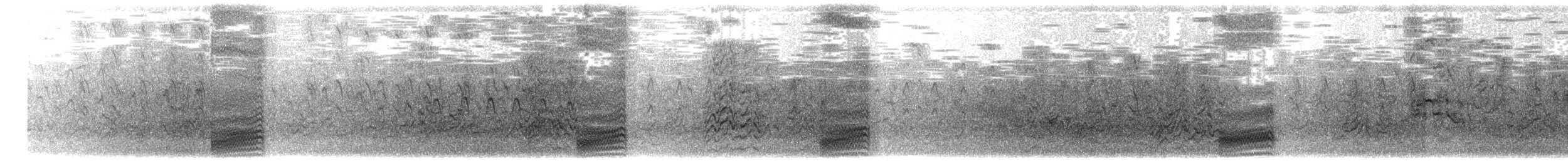 rybák černohřbetý - ML203917621