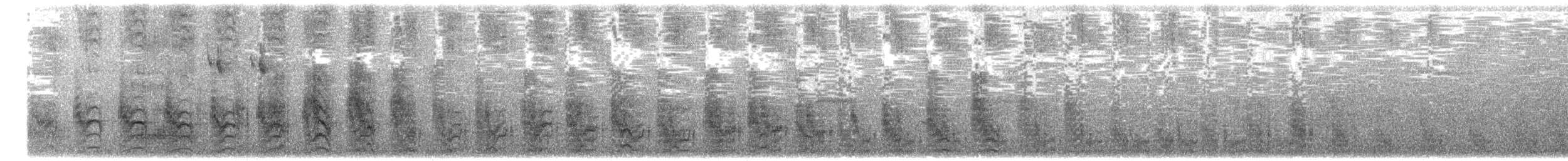 nody bělostný (ssp. candida/leucopes) - ML203917651