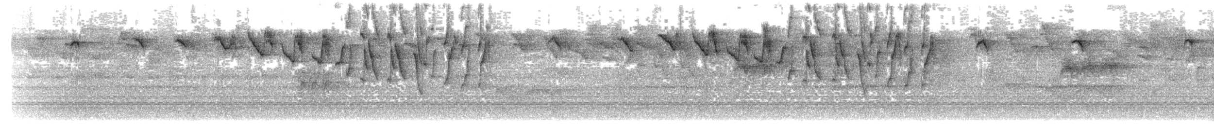 Карликовый колибри-отшельник - ML203917751