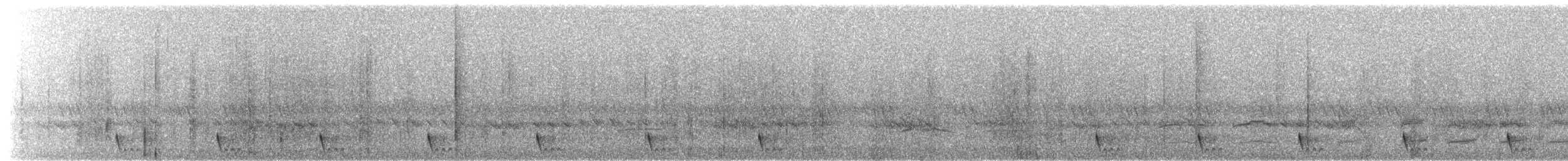 Large-tailed Nightjar - ML203917931