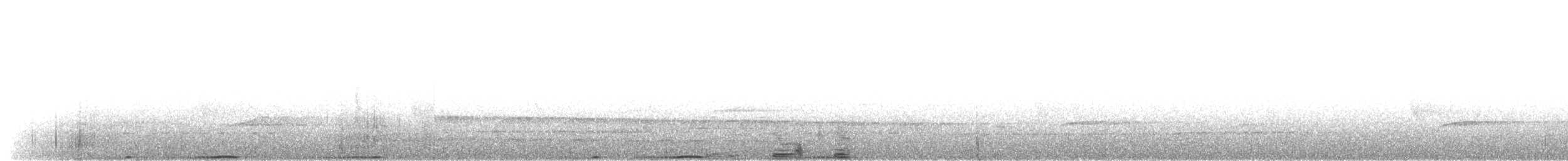 Mountain Imperial-Pigeon - ML203918071