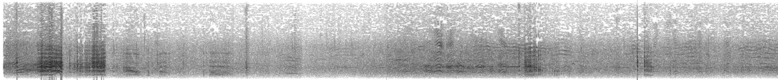 Баклан чубатий (підвид aristotelis) - ML203918501