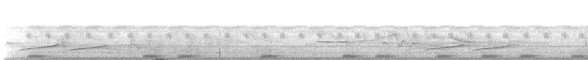 Желтоклювый турако (macrorhynchus) - ML203918561