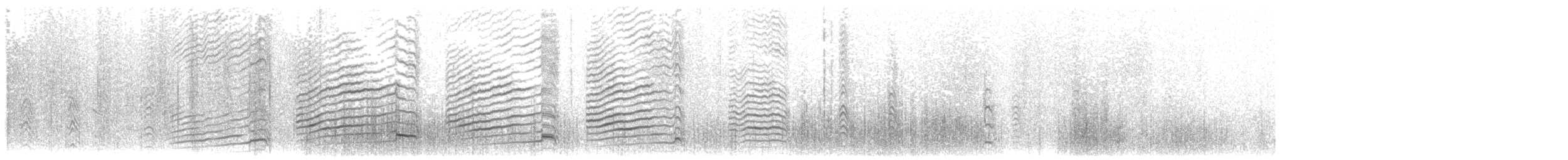 Schmarotzerraubmöwe - ML203918751