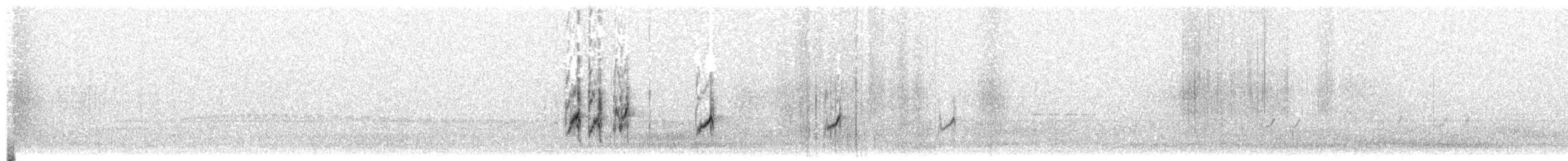 Correlimos Oscuro - ML203918781