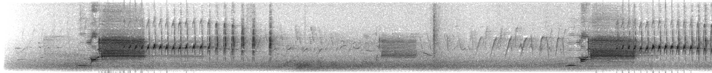 Sargento Alirrojo (grupo phoeniceus) - ML203919181