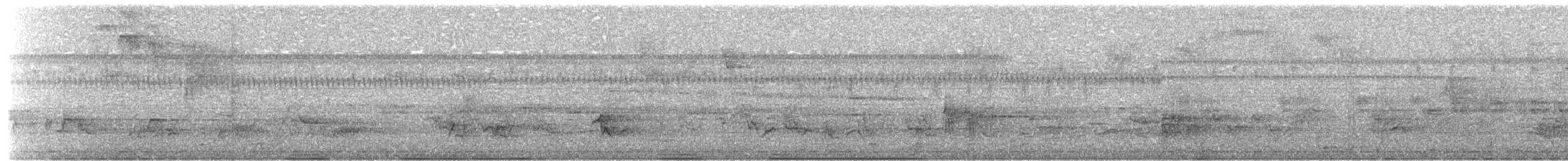 Oréophase cornu - ML203919531