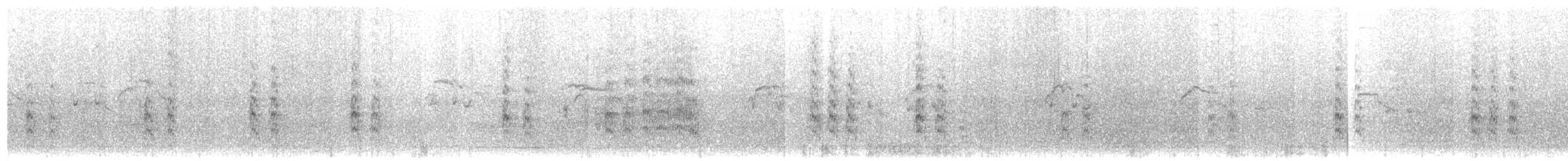 紐澳紅嘴鷗(scopulinus) - ML203919651