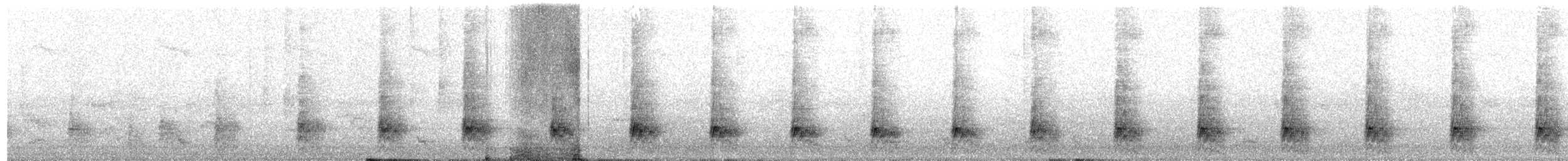 Chochita de las Snares - ML203919681