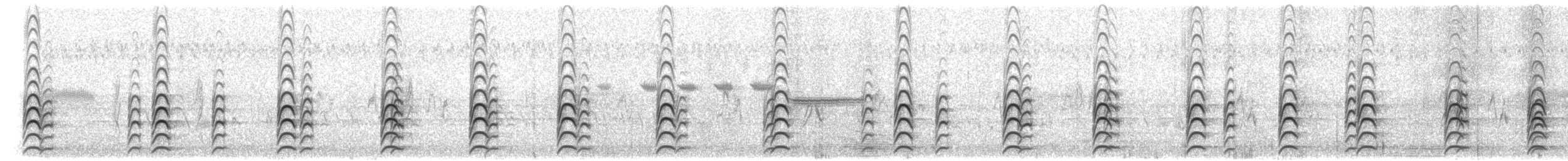 Weißgesicht-Stelzenläufer - ML203919751