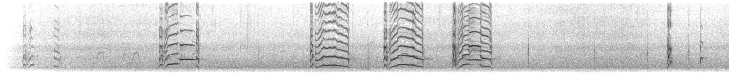 Ostrero Variable - ML203919881