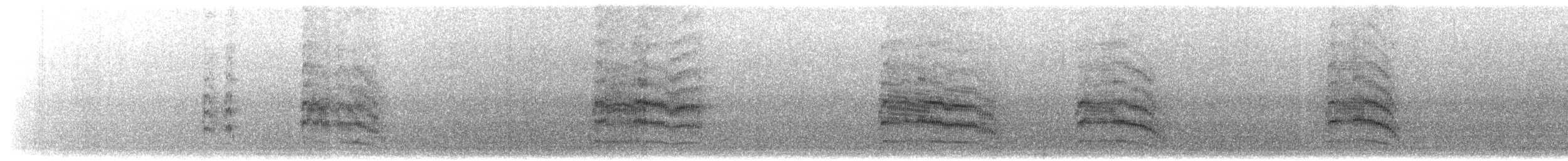 Mouette argentée (scopulinus) - ML203919941