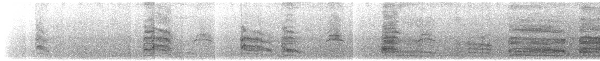 Mouette argentée (scopulinus) - ML203919951