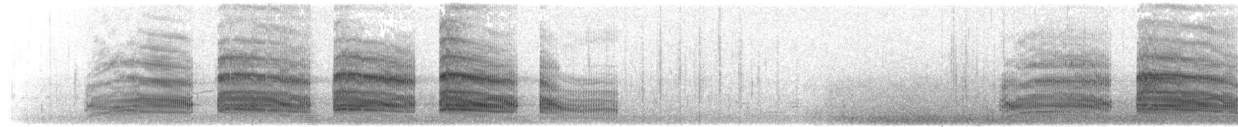 Mouette argentée (scopulinus) - ML203920041