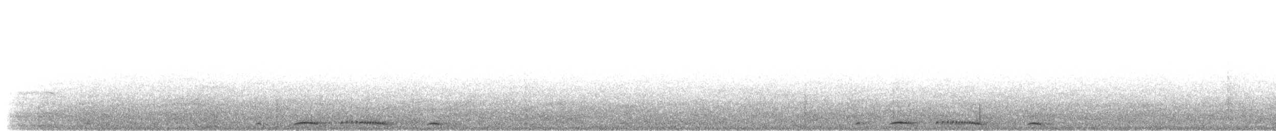 カノコバト（chinensis／tigrina） - ML203920141