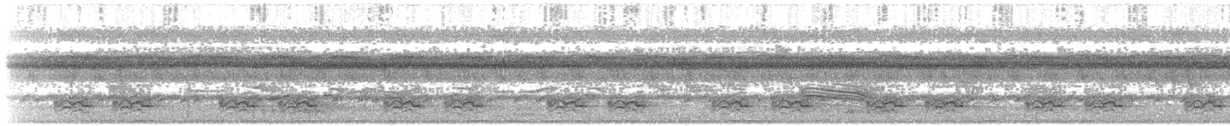 Gelbbrauen-Bogenflügel - ML203920691