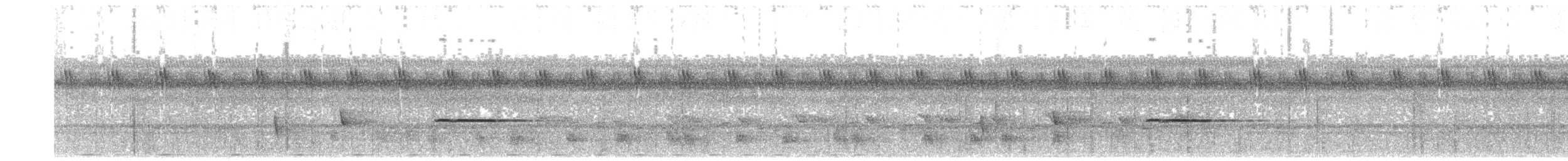 Матинера широкоброва (підвид cleaveri/johnsoni) - ML203921071